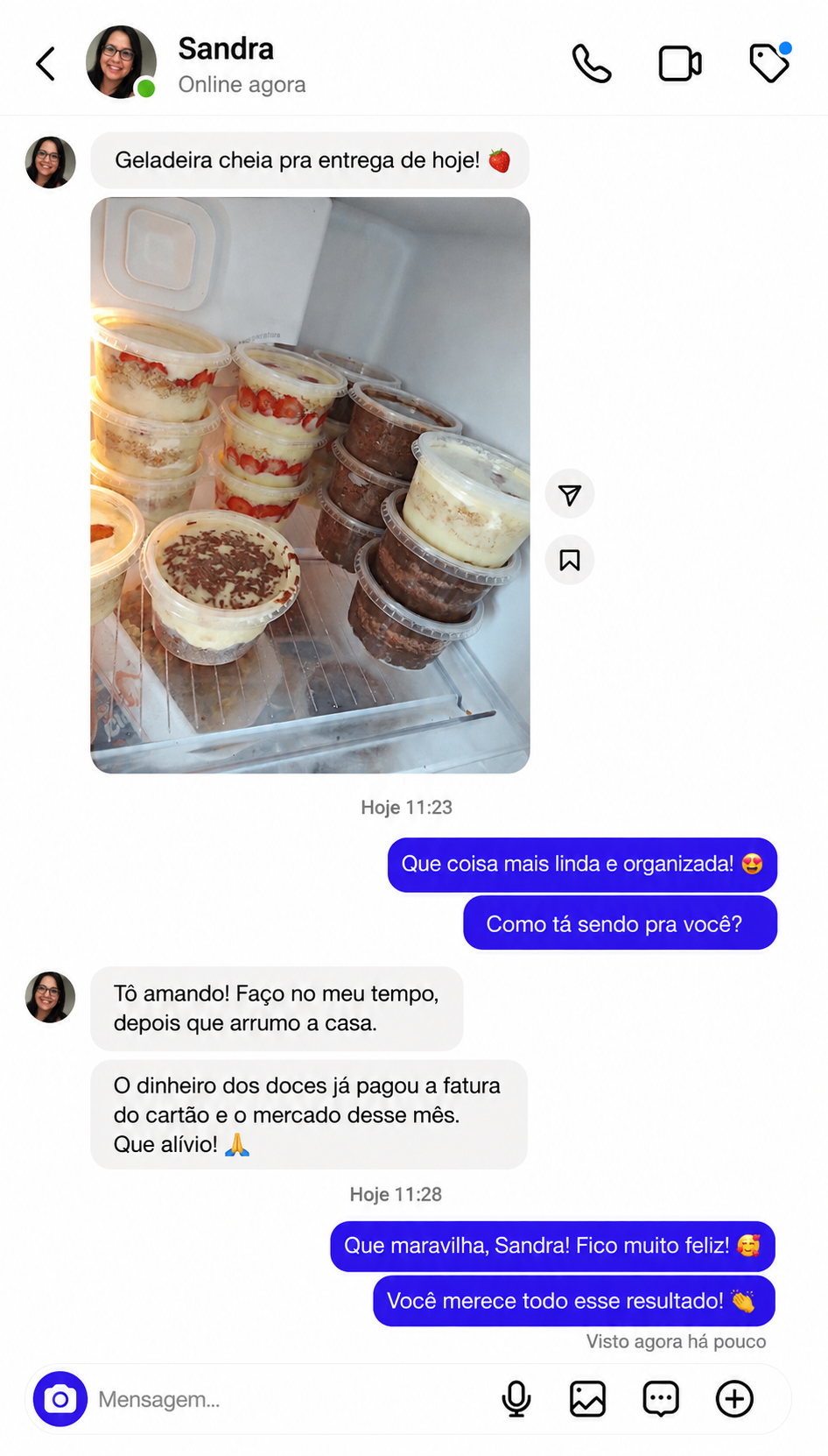 Depoimento de Sandra no WhatsApp com geladeira cheia de encomendas